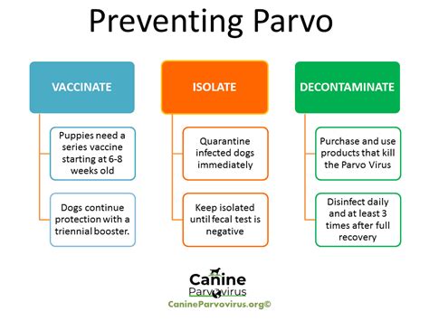 Canine Parvovirus Vaccination: Efficacy and Side Effects.